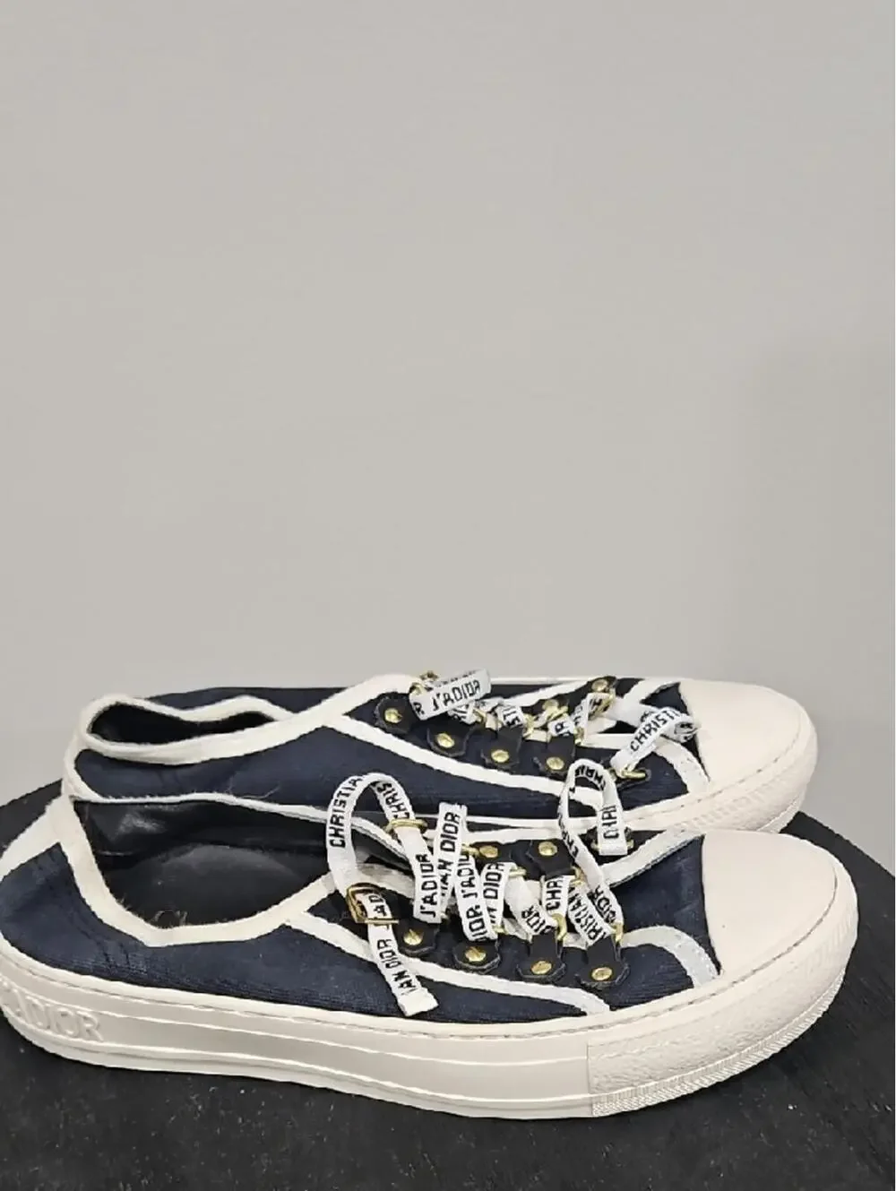 Dior Navy and White Canvas Low-Top Sneakers